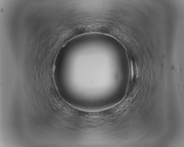 X0000071921153200607071150
