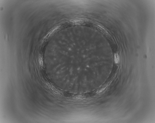 X0000071921155200607071150