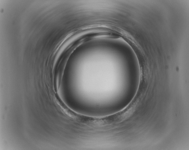 X0000071921177200607071150