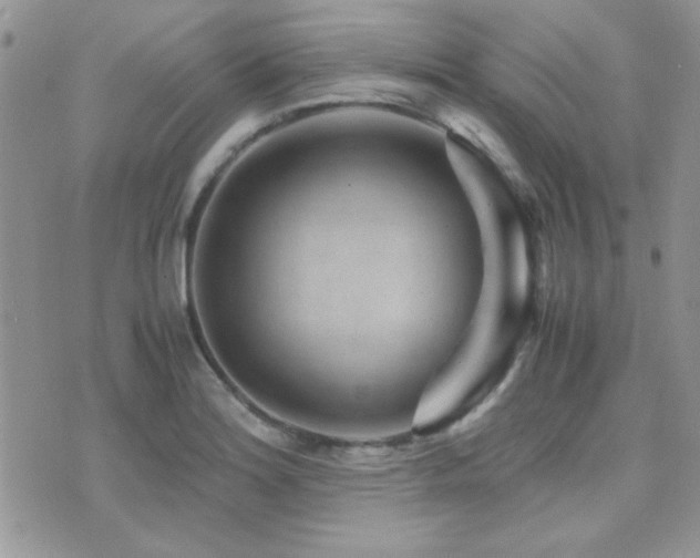 X0000071921180200607071150