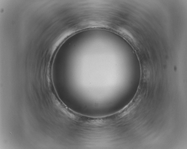 X0000071921182200607071150