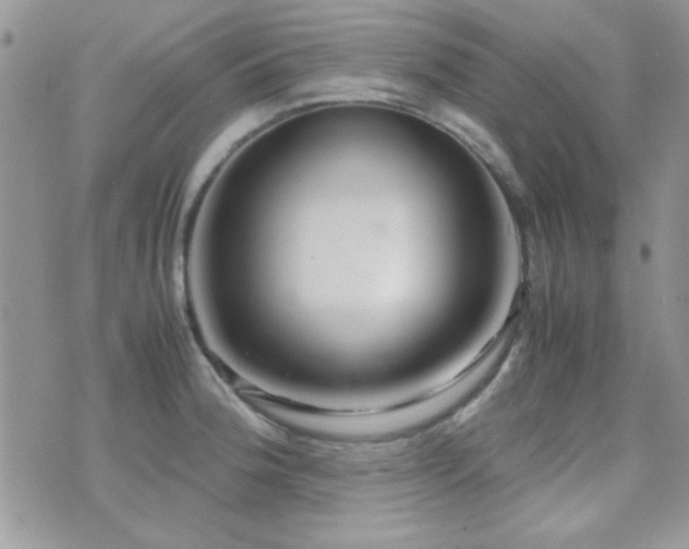 X0000071921188200607071149