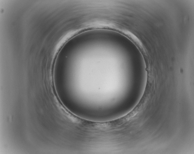 X0000071921191200607071149