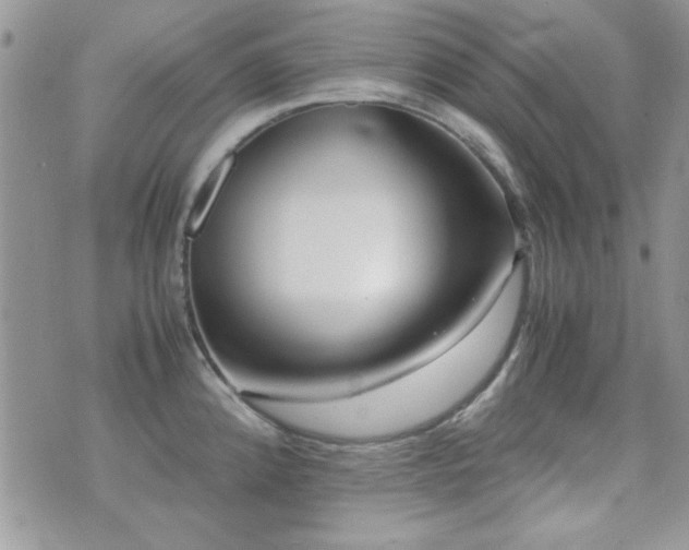 X0000071921192200607071149