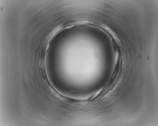 X0000071921193200607071149