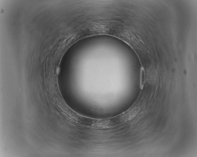 X0000071921201200607071148