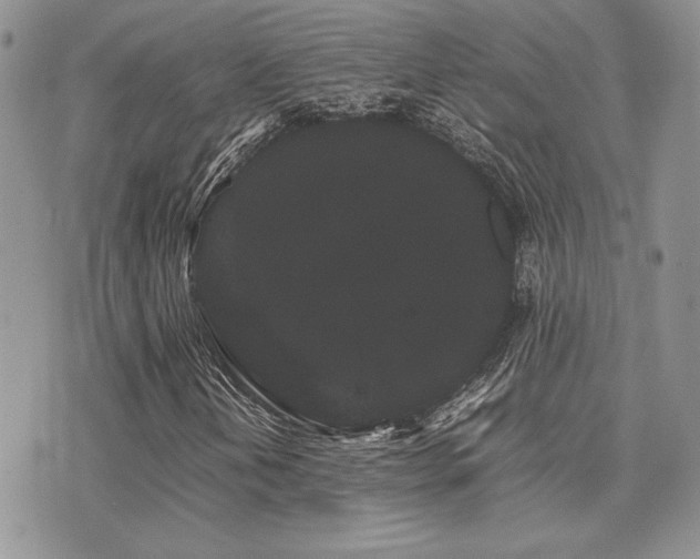 X0000071921202200607071148