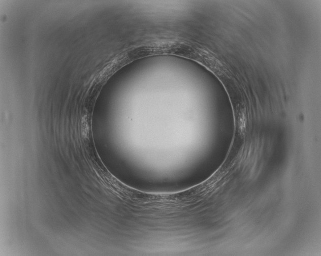 X0000071921204200607071148