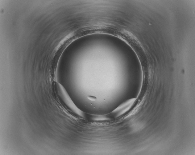X0000071921210200607071149
