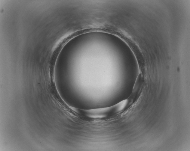 X0000071921214200607071149