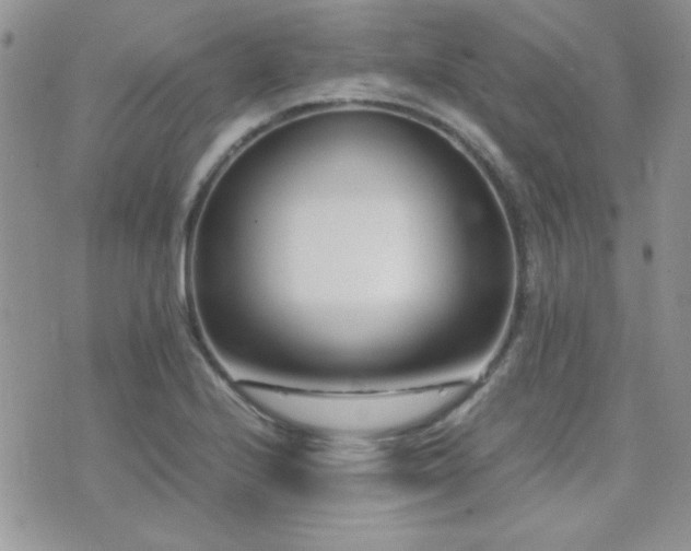 X0000071921224200607071149