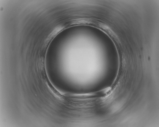 X0000071921233200607071149