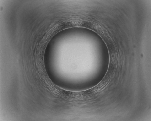 X0000071921249200607071148