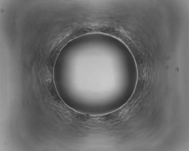 X0000071921253200607071148