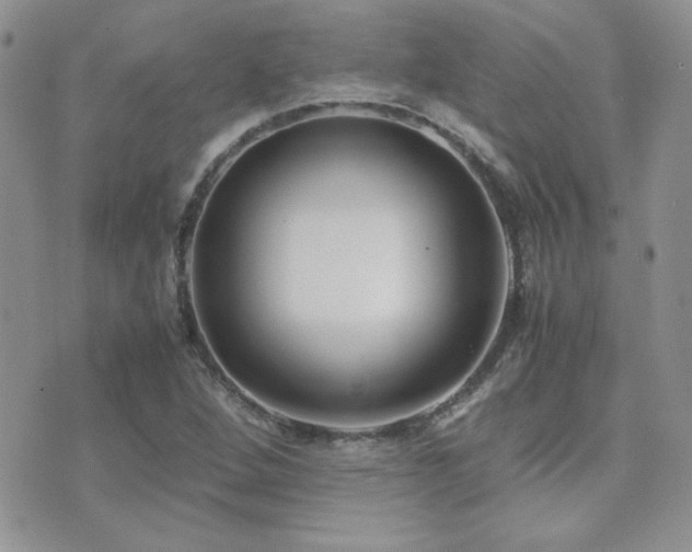 X0000071921264200607071148