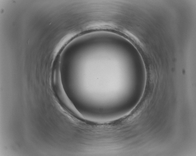 X0000071921277200607071148
