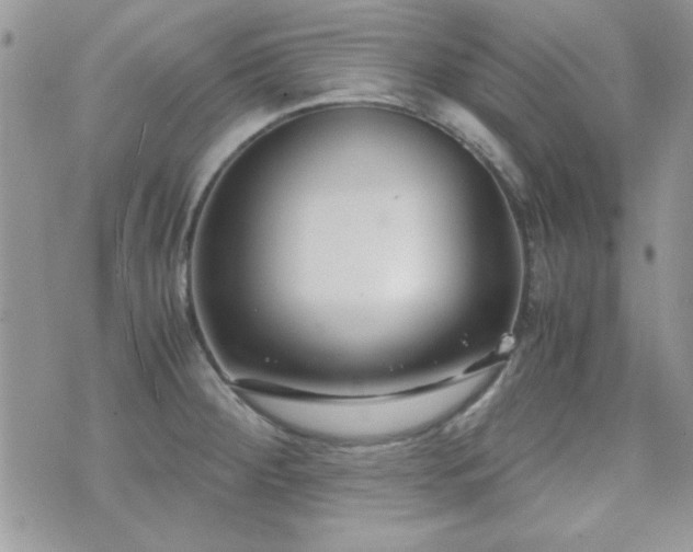 X0000071921284200607071148