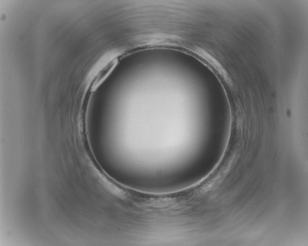 X0000071921285200607071148
