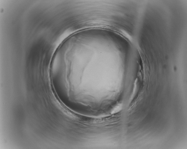 X0000071921291200607071148