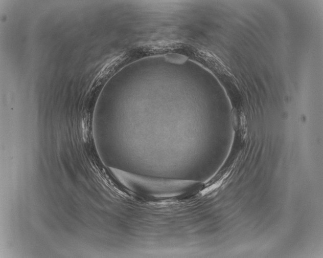 X0000071921300200607071147