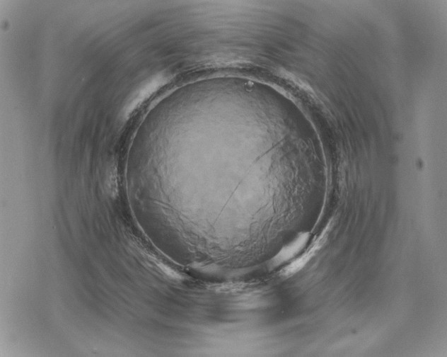 X0000071921306200607071147