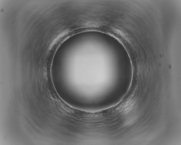 X0000071921307200607071147