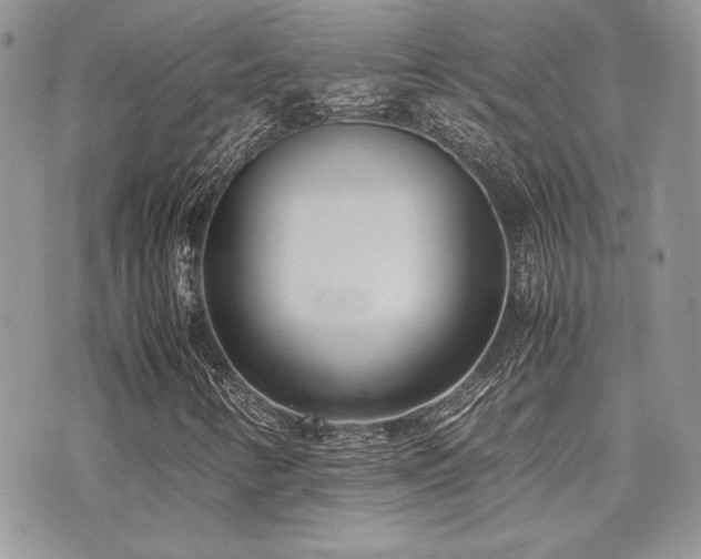 X0000071921346200607071147
