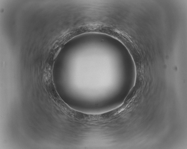 X0000071921349200607071147