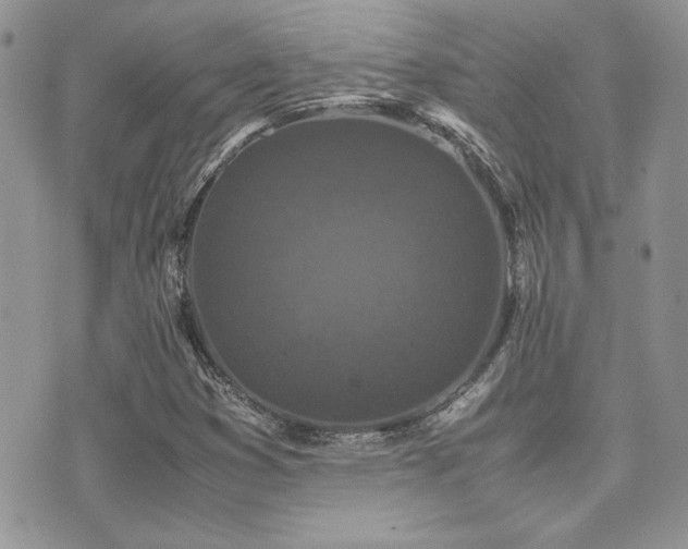 X0000071921353200607071147