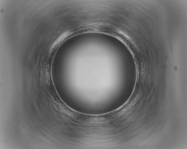 X0000071921354200607071147