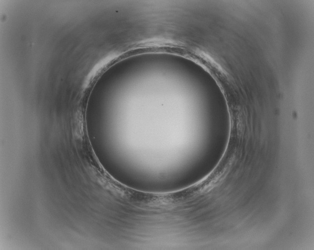 X0000071921358200607071147
