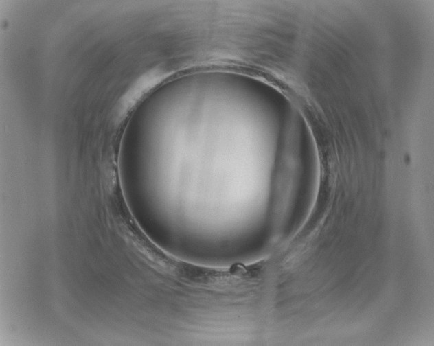 X0000071921363200607071147