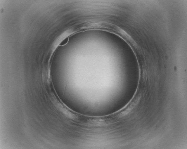 X0000071921370200607071146