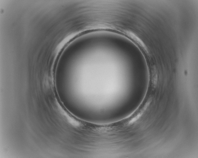 X0000071921380200607071146