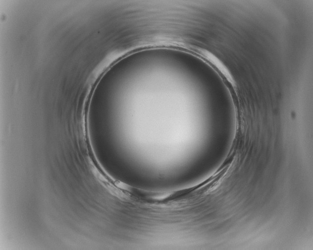 X0000071921388200607071146