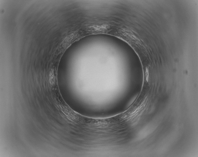 X0000071921395200607071145