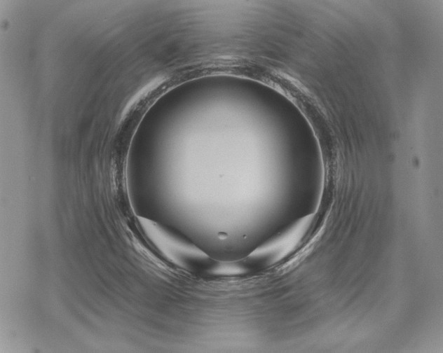 X0000071921402200607071145