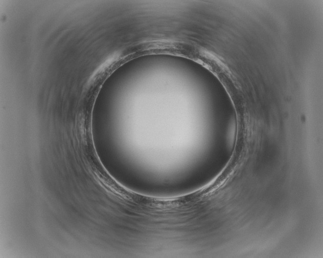 X0000071921403200607071145
