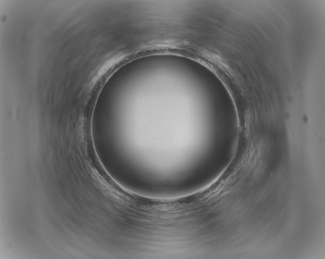 X0000071921404200607071145