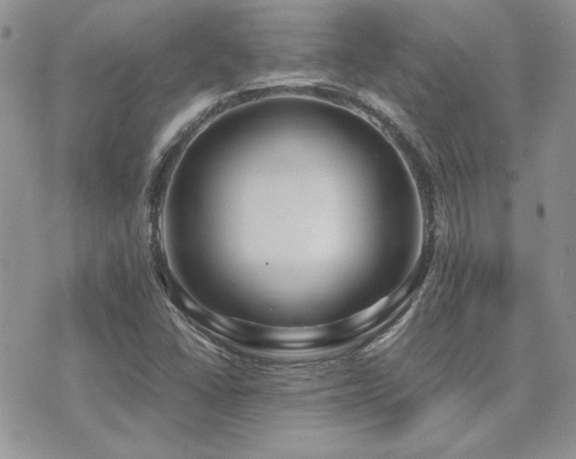 X0000071921406200607071146
