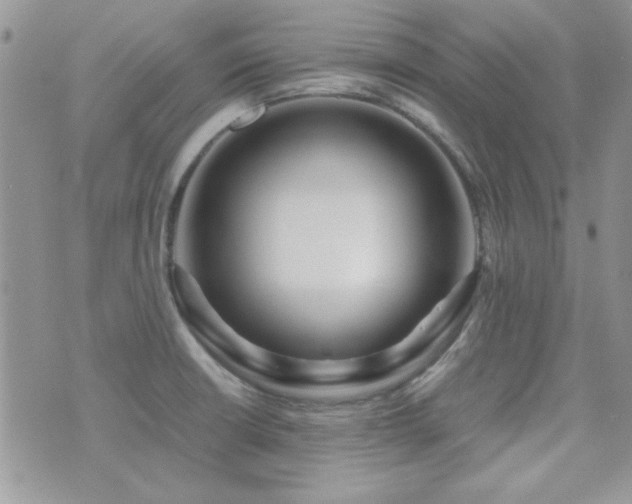 X0000071921426200607071146