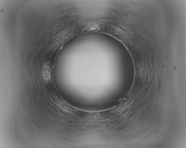 X0000071921442200607071145