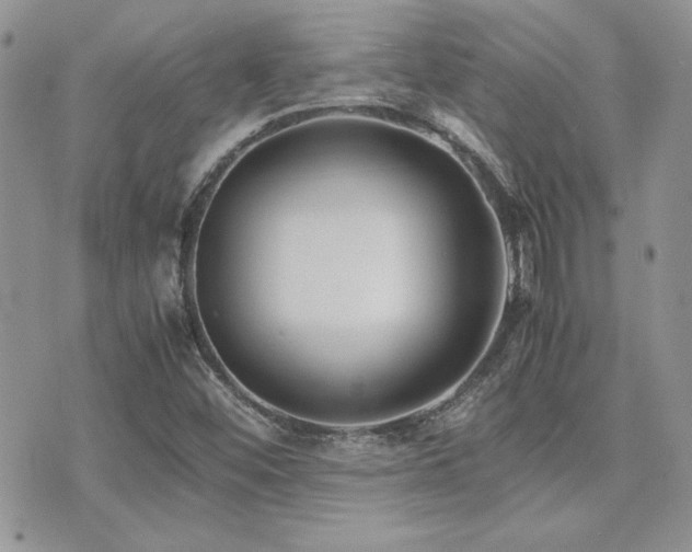 X0000071921452200607071145