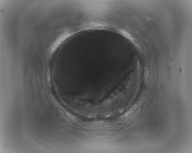 X0000071921455200607071145