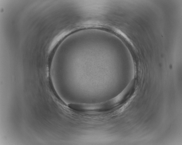 X0000071921461200607071145