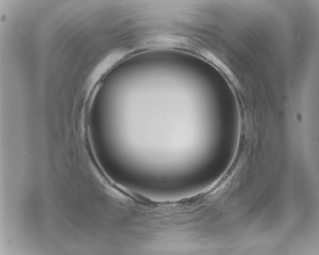 X0000071921477200607071145