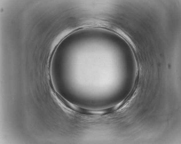 X0000071921485200607071145