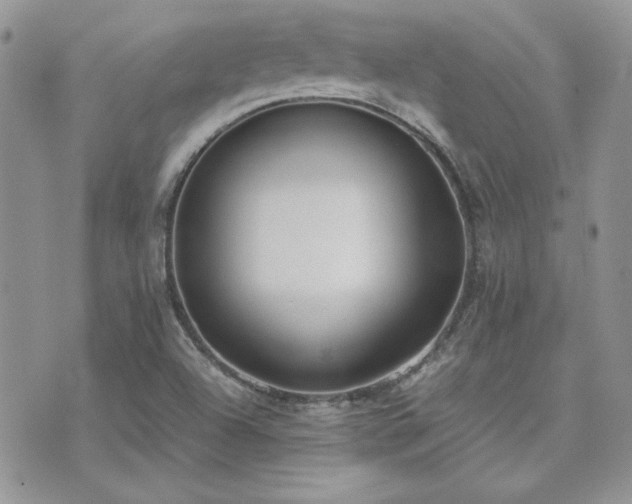 X0000071921504200607071144