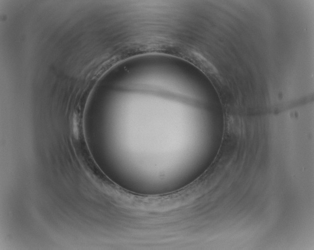 X0000071920026200607141346