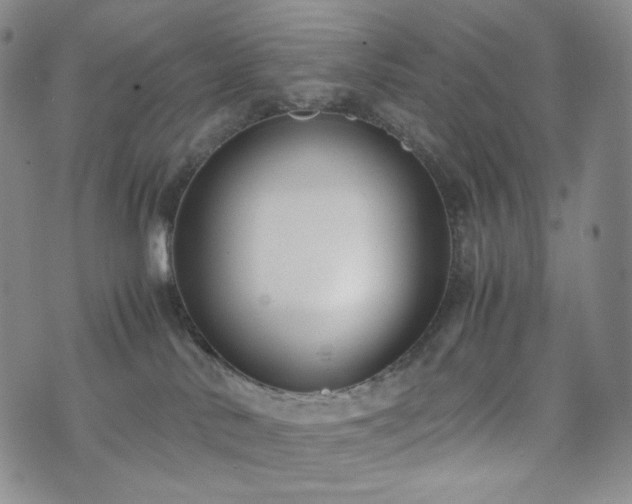 X0000071920042200607141346